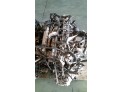 MOTOR CON ACCESORIOS Y CAJA DE CAMBIOS HYUNDAI GETZ 2005