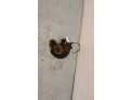 MANGUETA DELANTERA IZQUIERDA SEAT IBIZA 2007