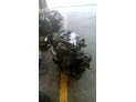 MOTOR CON ACCESORIOS Y CAJA DE CAMBIOS PEUGEOT 206 2000