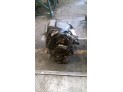 MOTOR CON ACCESORIOS SIN CAJA DE CAMBIOS CITROEN C3 2006