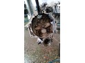 MOTOR CON ACCESORIOS Y CAJA DE CAMBIOS SEAT IBIZA 2002