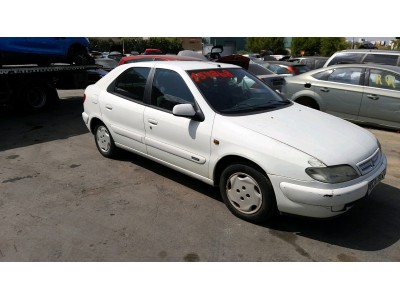 LUNA TRASERA DE CUSTODIA SO CITROEN XSARA 1998