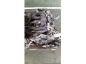 MOTOR CON ACCESORIOS Y CAJA DE CAMBIOS CITROEN XSARA 1999