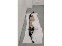 CREMALLERA DIRECCION VOLVO V60 2021