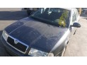 RADIADOR AGUA SKODA OCTAVIA 2009