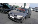 PORTON TRASERO RENAULT MÉGANE 2004
