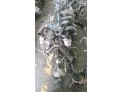 MOTOR CON ACCESORIOS Y CAJA DE CAMBIOS PEUGEOT PARTNER 2003