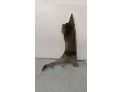 ALETA DELANTERA DERECHA SEAT LEON GRIS 2005