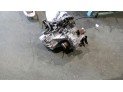 CAJA CAMBIOS HYUNDAI GETZ 2004