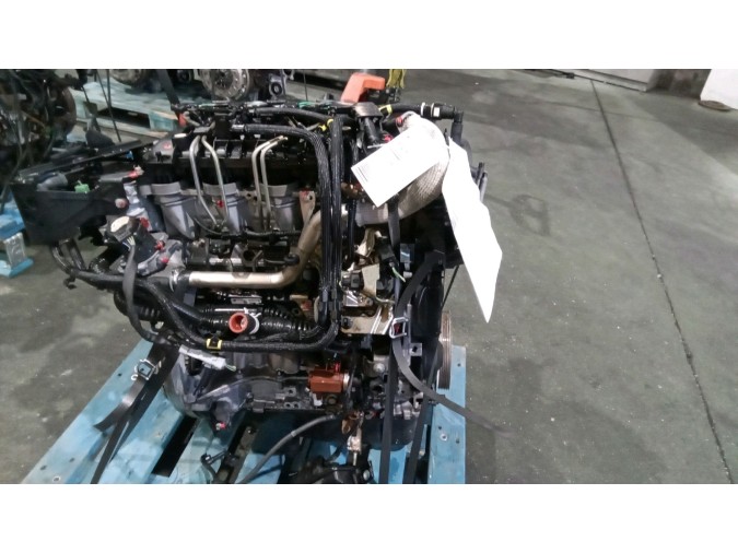 Motor FORD FOCUS 2005