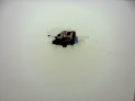 CERRADURA PUERTA TRASERA IZQUIERDA SKODA OCTAVIA 2009