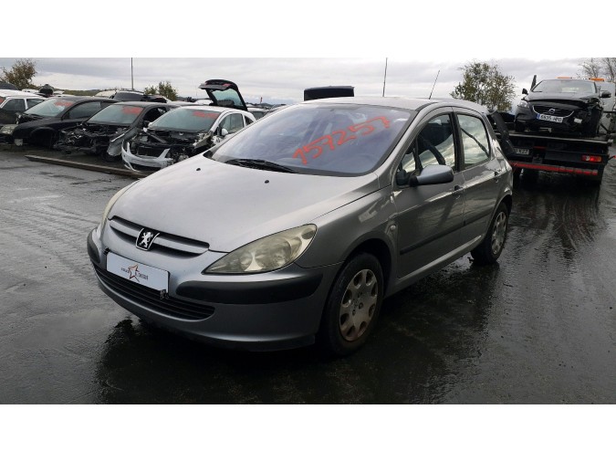 PILOTO TRASERO IZQUIERDO PEUGEOT 307 2003