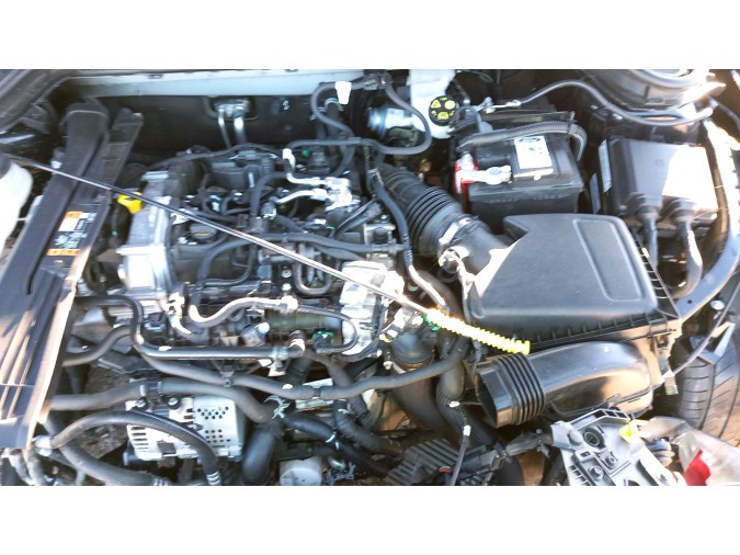 Intercooler FORD FOCUS 2023