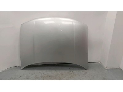 CAPOT VOLKSWAGEN GOLF GRIS 2002