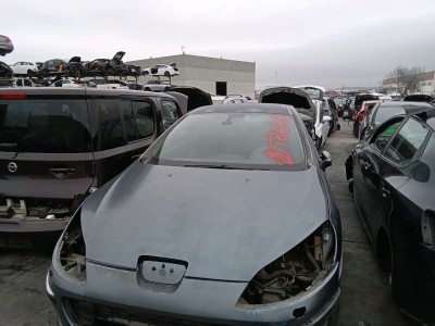 VARIOS PEUGEOT 407 2005