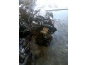 MOTOR CON ACCESORIOS Y CAJA DE CAMBIOS CITROEN C3 2003