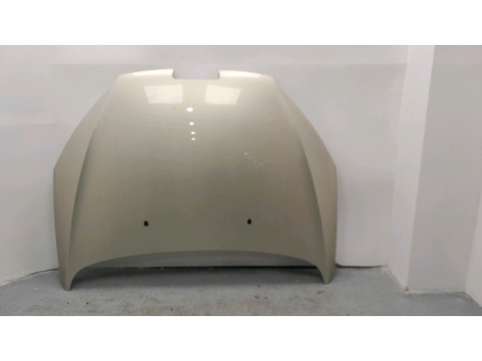 CAPOT PEUGEOT 407 CHAMPAN 2008