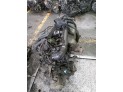 MOTOR CON ACCESORIOS Y CAJA DE CAMBIOS PEUGEOT 406 1998