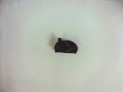 FARO ANTINIEBLA DELANTERO DERECHO AUDI A3 2004