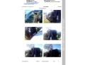 Intercooler RENAULT KANGOO 2011