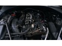 MANGUETA DELANTERA DERECHA BMW 520D 2010
