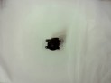 FARO ANTINIEBLA DELANTERO CITROEN C4 PICASSO 2015