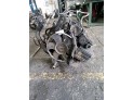 MOTOR CON ACCESORIOS Y CAJA DE CAMBIOS MERCEDES SPRINTER 311 CDI 2007