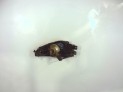 FARO ANTINIEBLA DELANTERO IZQUIERDO OPEL INSIGNIA 2012
