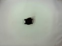 Faro antiniebla izquierdo JEEP COMPASS 2020
