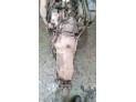 MOTOR CON ACCESORIOS Y CAJA DE CAMBIOS MERCEDES E 320 CDI