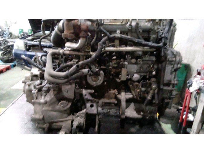 Alternador NISSAN ALMERA 2002