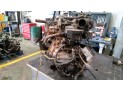 ALTERNADOR NISSAN ALMERA 2001