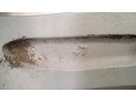 LLANTA ALUMINIO NISSAN JUKE 2016