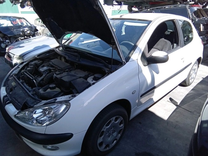 PILOTO INTERMITENTE LATERAL DELANTERO IZQUIERDO PEUGEOT 206 2004