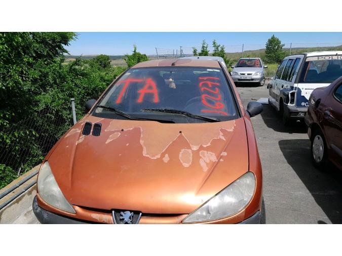 ELEVALUNAS TRASERO DERECHO PEUGEOT 206 2001