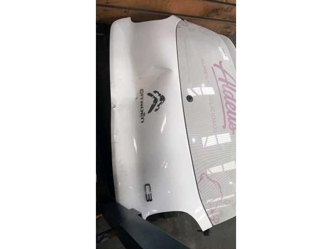 PORTON TRASERO CITROEN C3 2019
