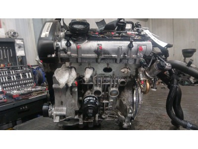 Motor VOLKSWAGEN POLO 2004