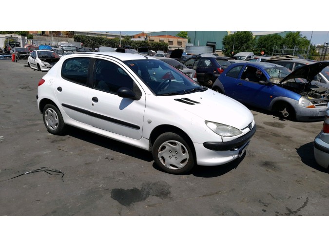 ELEVALUNAS TRASERO DERECHO PEUGEOT 206 2002