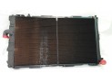 Radiador de Agua FIAT CROMA 2006