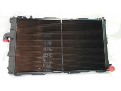 Radiador de Agua FIAT CROMA 2006