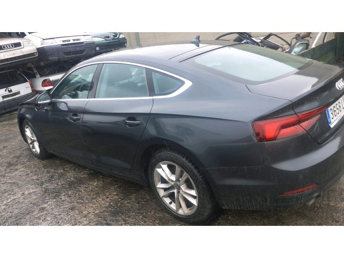 MANGUETA DELANTERA IZQUIERDA AUDI A5 2018