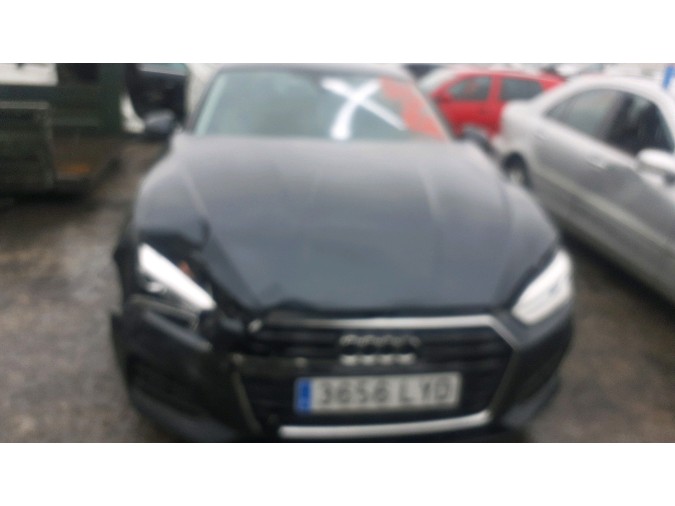 MANGUETA DELANTERA IZQUIERDA AUDI A5 2018