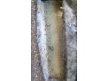 CERRADURA CAPO FORD FOCUS 2002