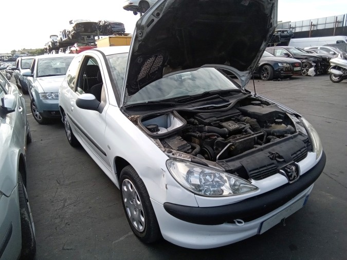 ELEVALUNAS DELANTERO DERECHO PEUGEOT 206 2004