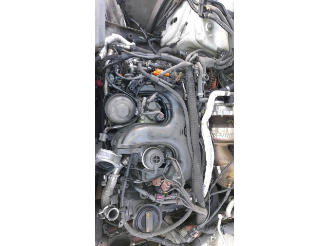 Cinturón de seguridad trasero central AUDI A4 2013