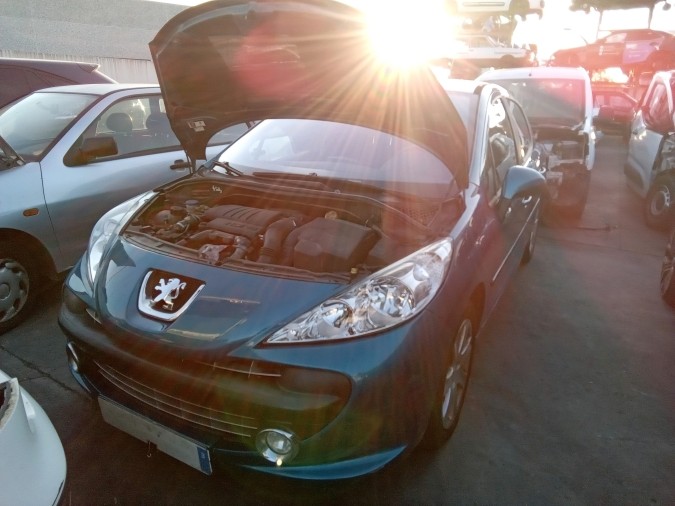 ALETA DELANTERA IZQUIERDA PEUGEOT 207 2009