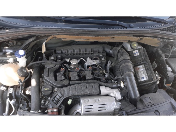 CONCHA PASE RUE.DL.D DS DS 3 2019