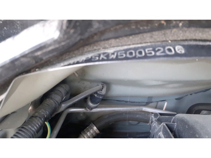 REVESTIMIENTO TECHO DS DS 3 2019