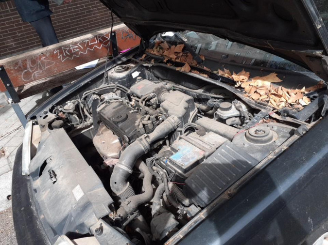 Coche despiece completo OPEL INSIGNIA 00145973