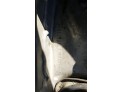 ELEVALUNAS TRASERO DERECHO SEAT IBIZA 2002
